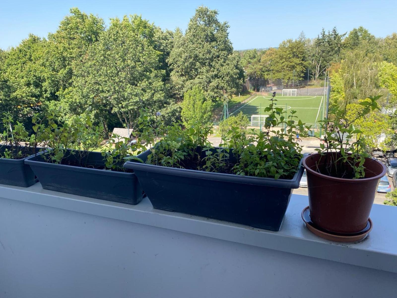 Chambre privée chez l'habitant dans un appartement T3 Rennes Exterior foto